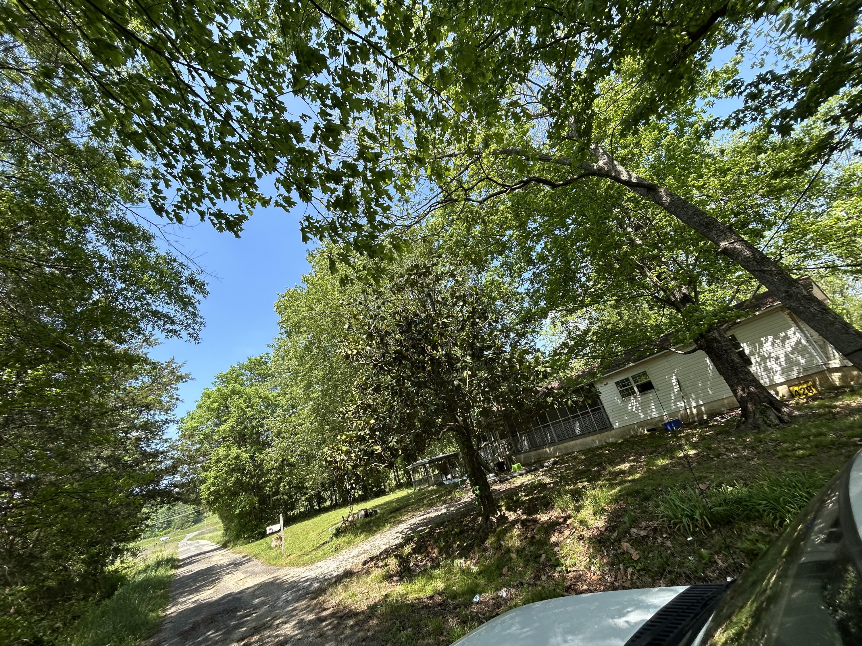 Hazel Drive, Ringgold, Georgia image 10