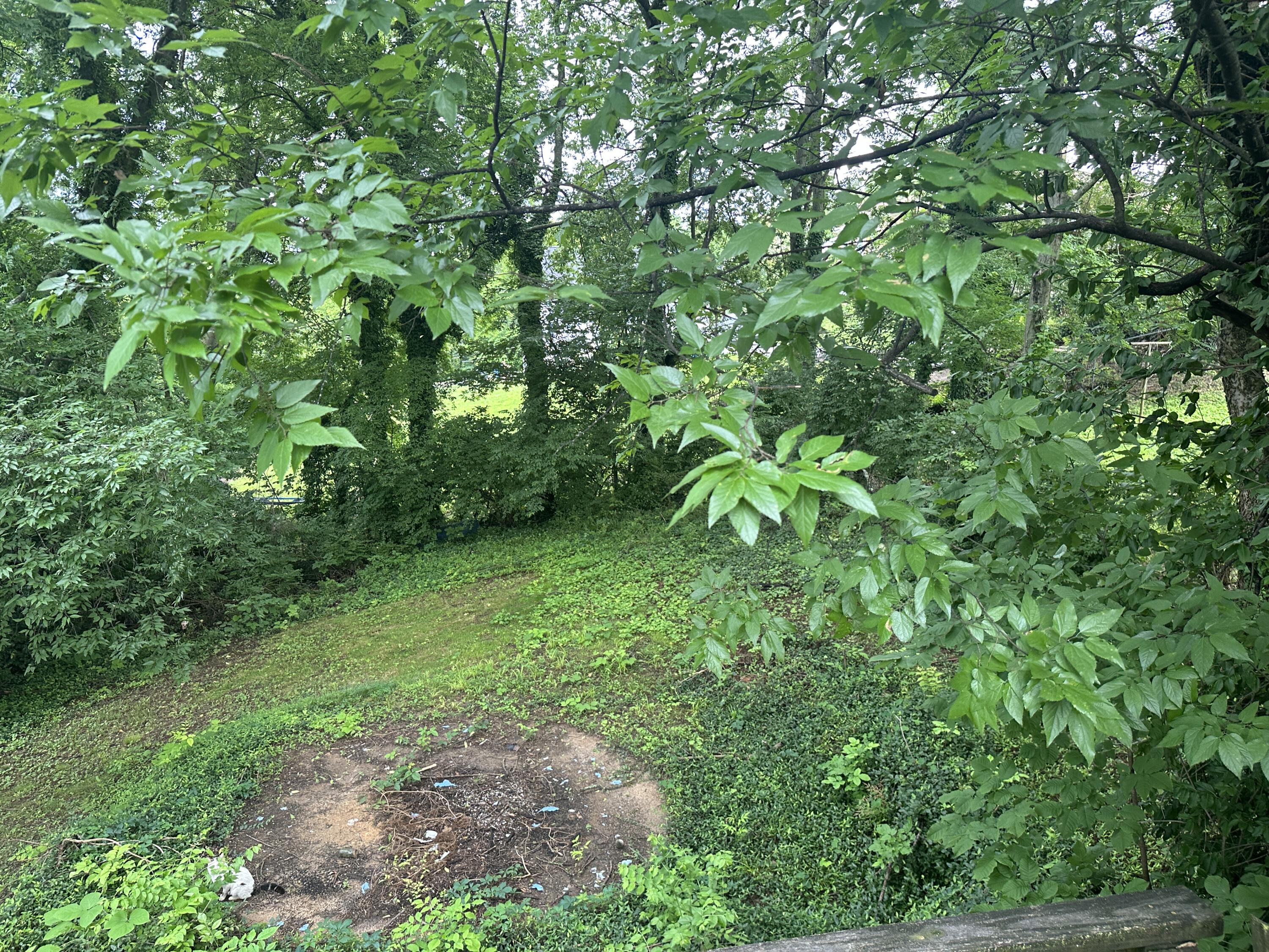 3306 Idlewild Drive, Chattanooga, Tennessee image 19