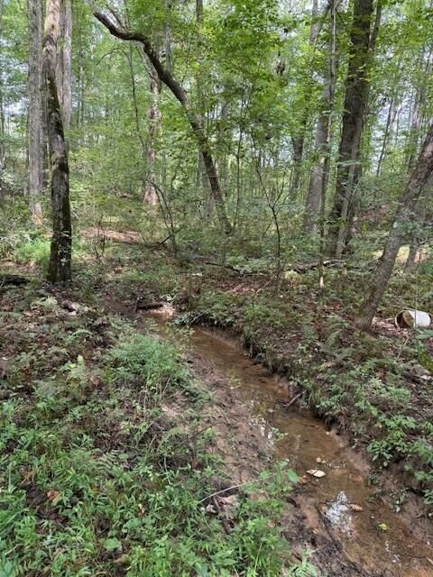 Photo of Lot 1 Tipple Road, Tracy City, TN 37387 (MLS # 1517297)