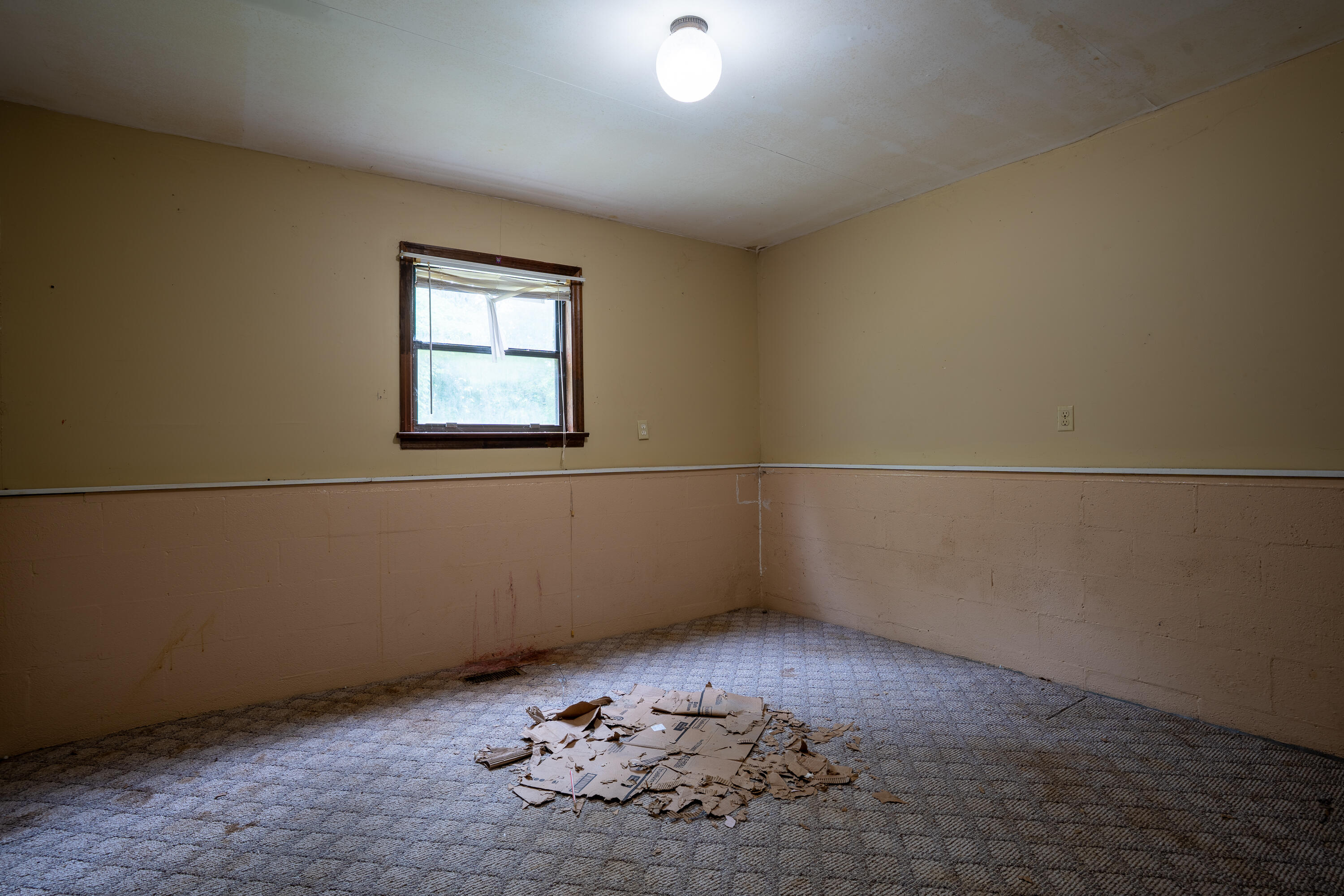 Bryant, Alabama 35958, United States, 11 Bedrooms Bedrooms, ,5 BathroomsBathrooms,Residential,Active,164402