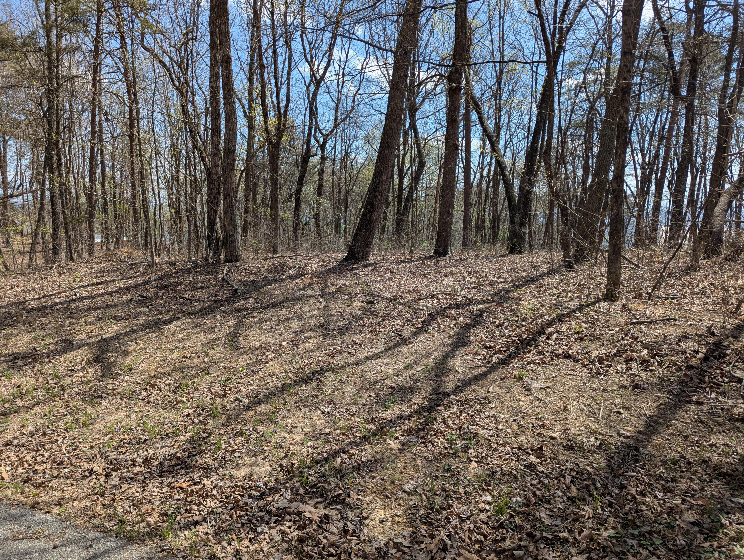 Lot 17 Duckwood Lane
