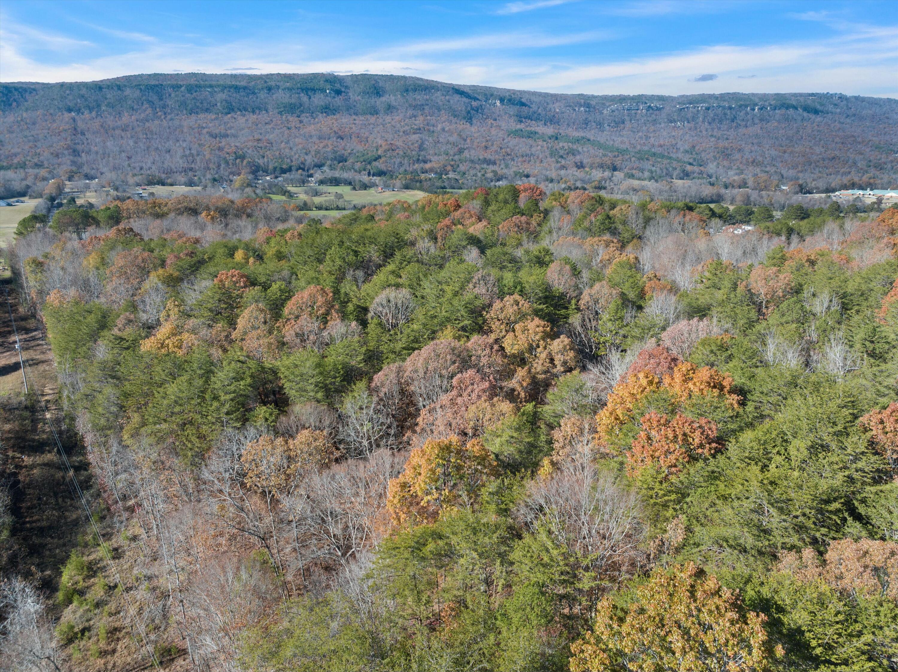 Ketchersid Lane, Whitwell, Tennessee image 11