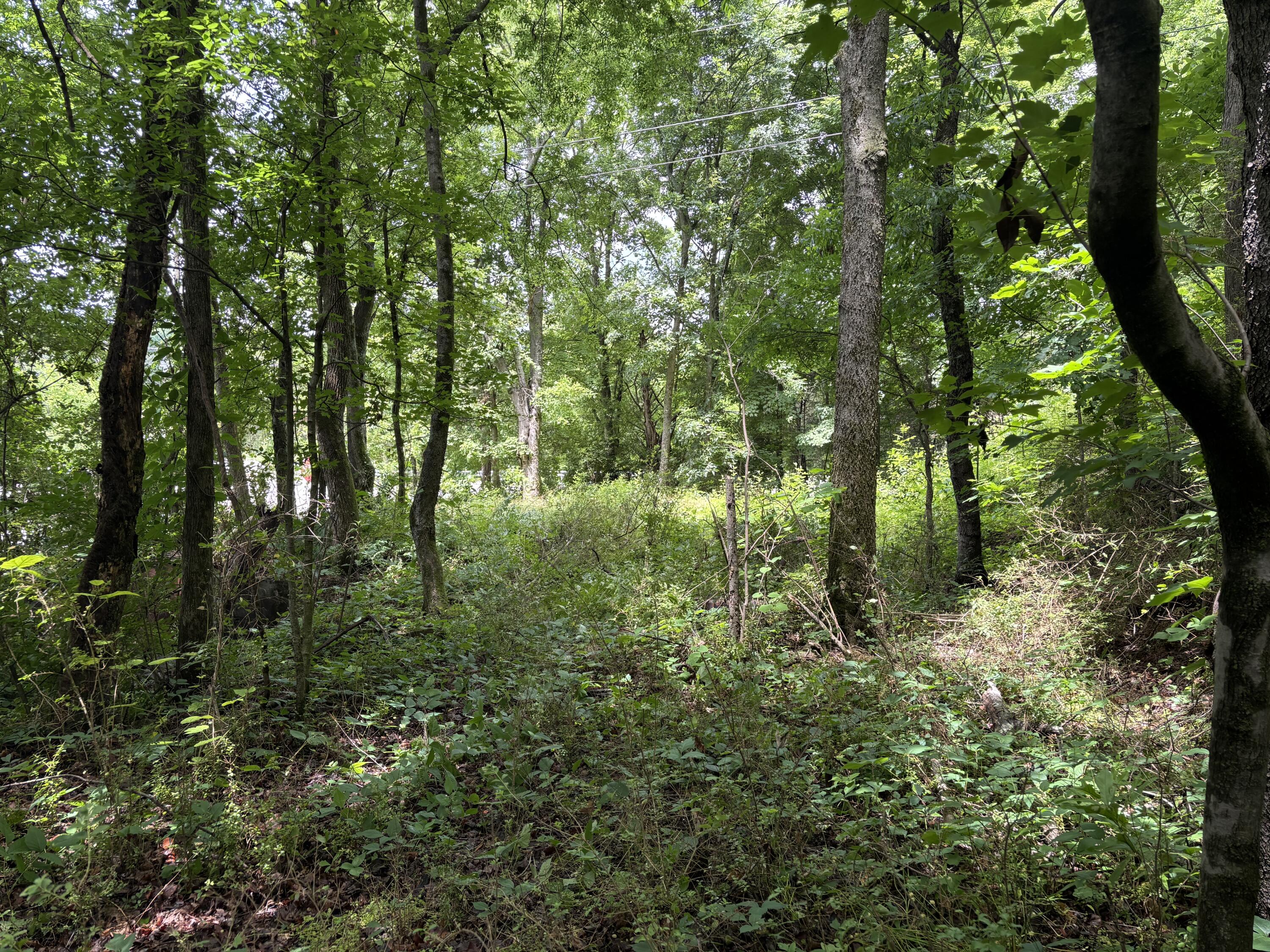 Photo 1 of 2 — 0 Bellfounte Road NE, Cleveland, TN 37312