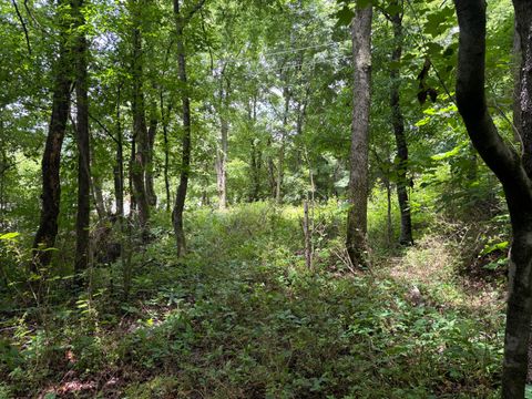 Vacant Land For Sale - Bellfounte Road<br/> Cleveland, TN 37312