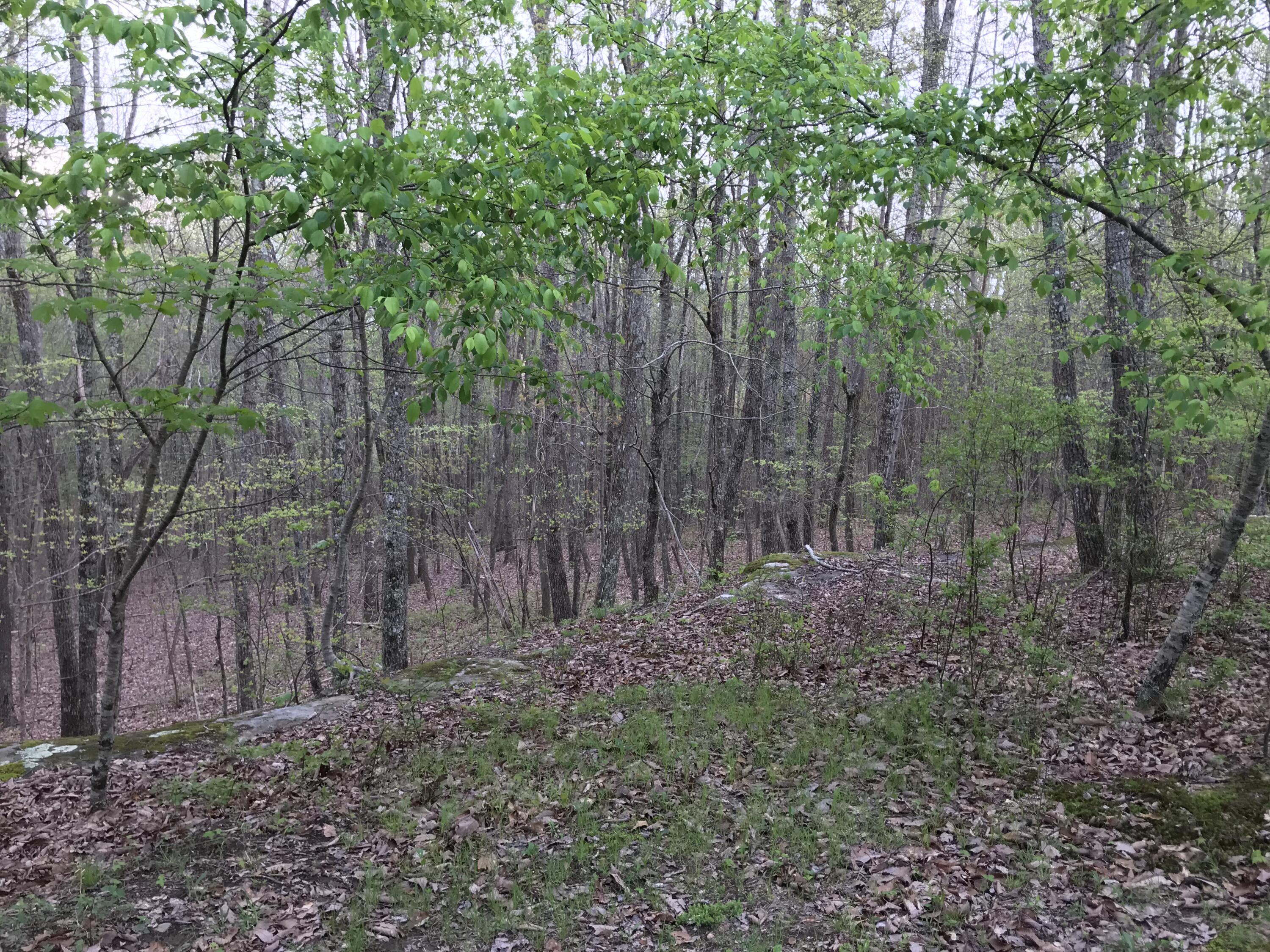Lot 22 Greenfields Way S. #22, Dunlap, Tennessee image 10
