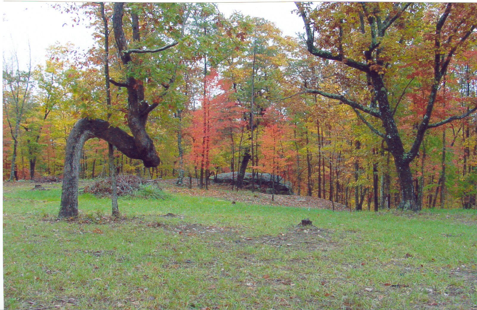 Lot 22 Greenfields Way S. #22, Dunlap, Tennessee image 2