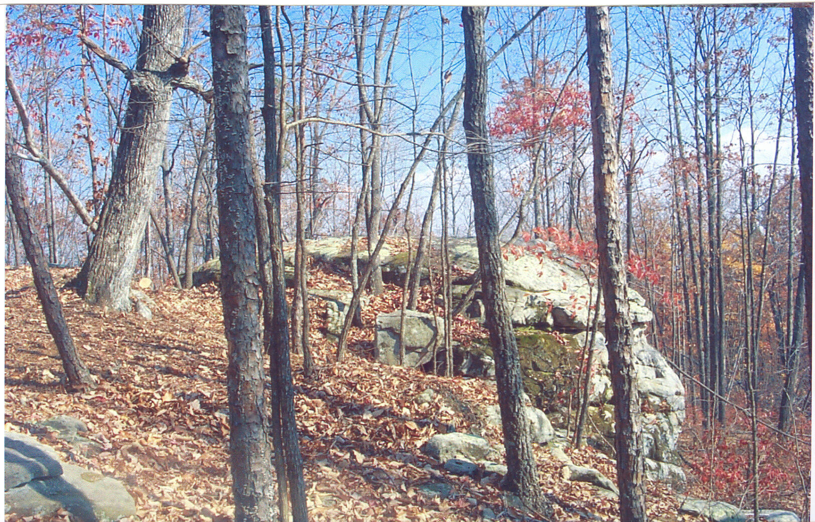 Lot 22 Greenfields Way S. #22, Dunlap, Tennessee image 3