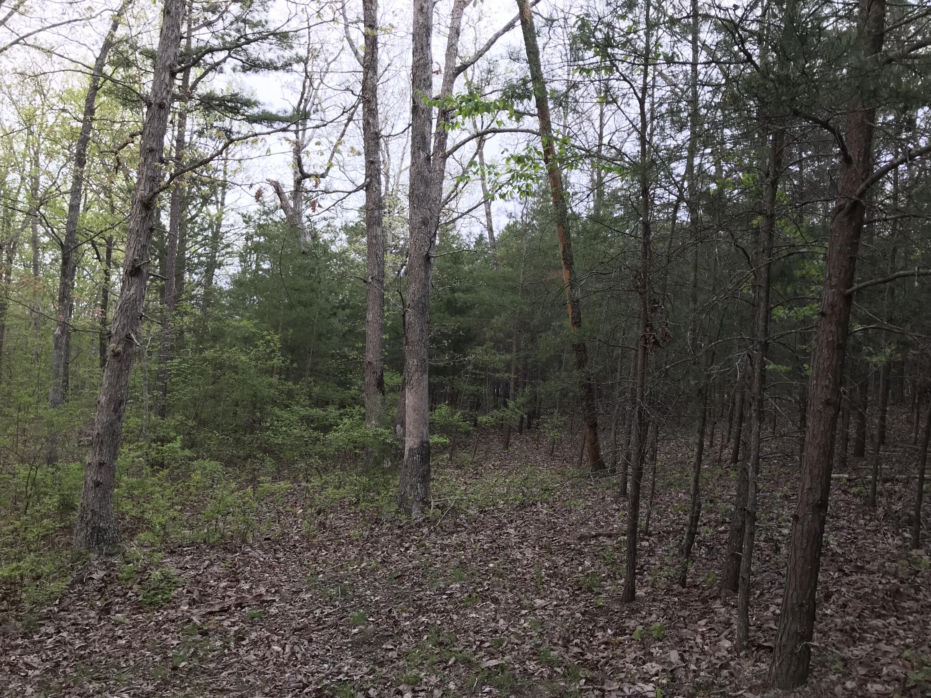 Lot 22 Greenfields Way S. #22, Dunlap, Tennessee image 5