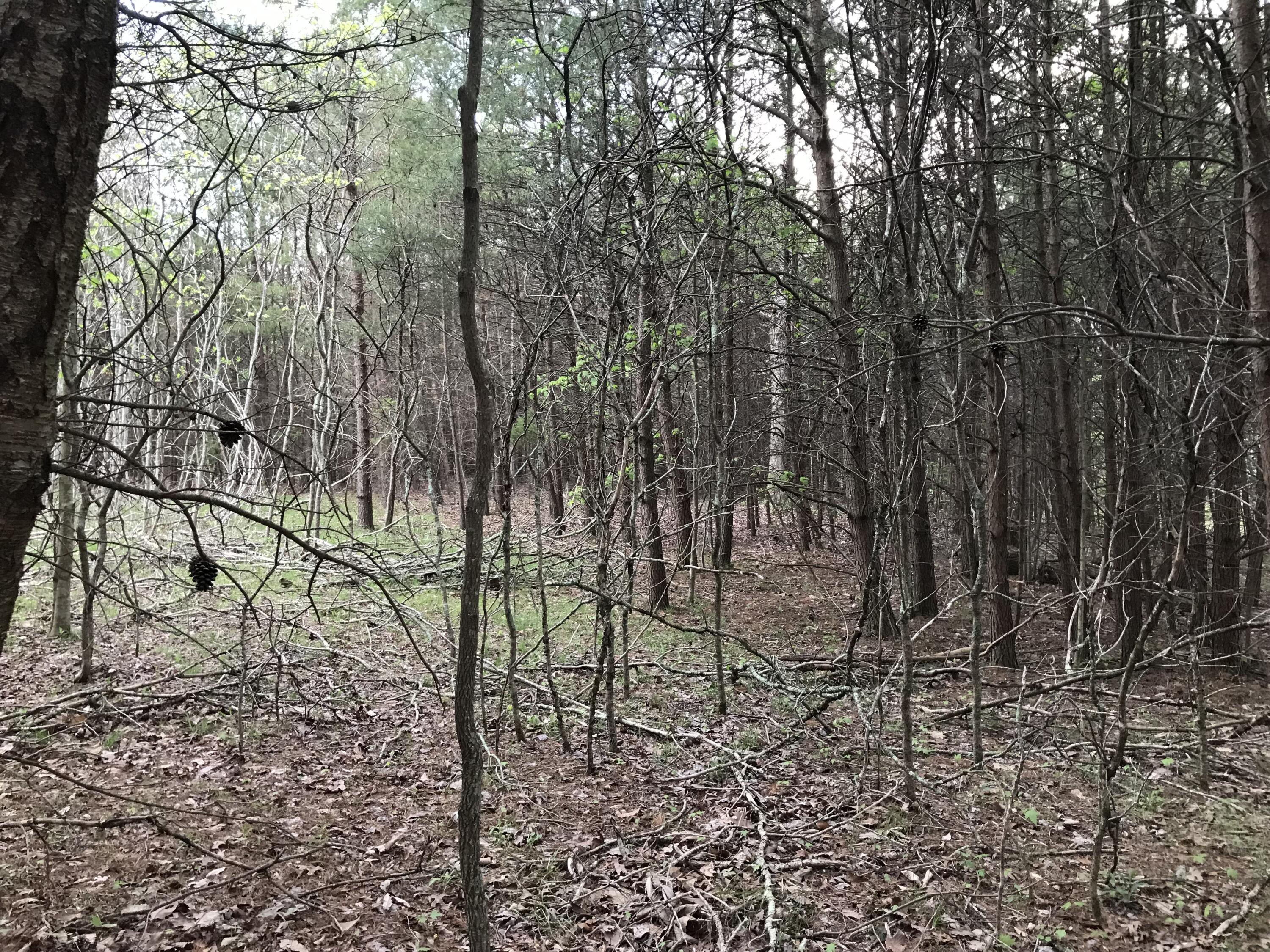 Lot 22 Greenfields Way S. #22, Dunlap, Tennessee image 15