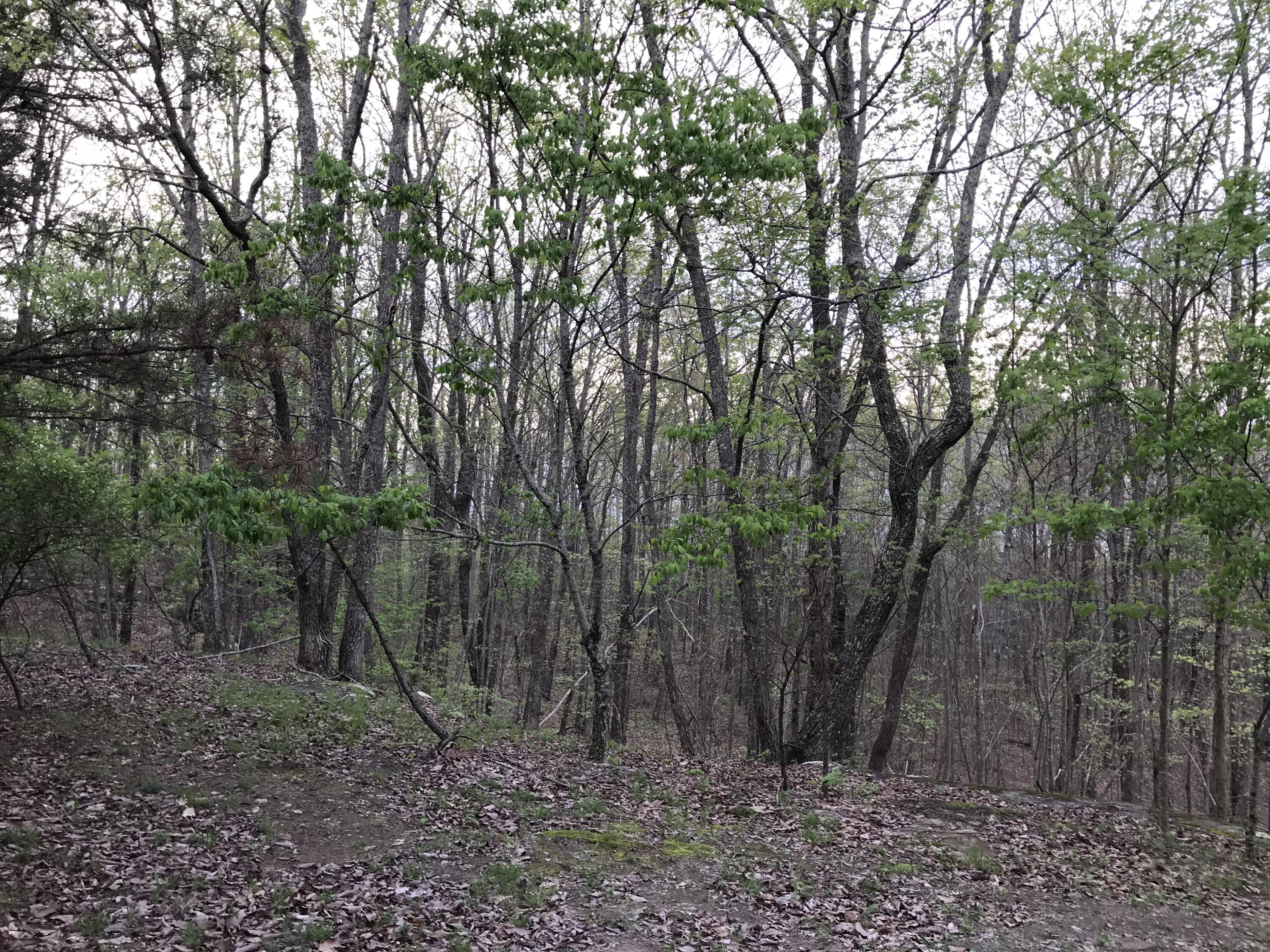 Lot 22 Greenfields Way S. #22, Dunlap, Tennessee image 12