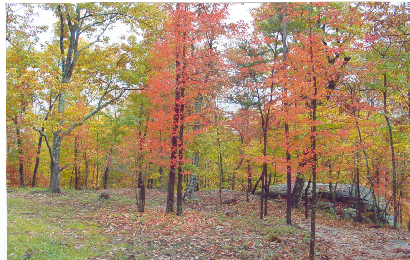 Lot 22 Greenfields Way S. #22, Dunlap, Tennessee image 4