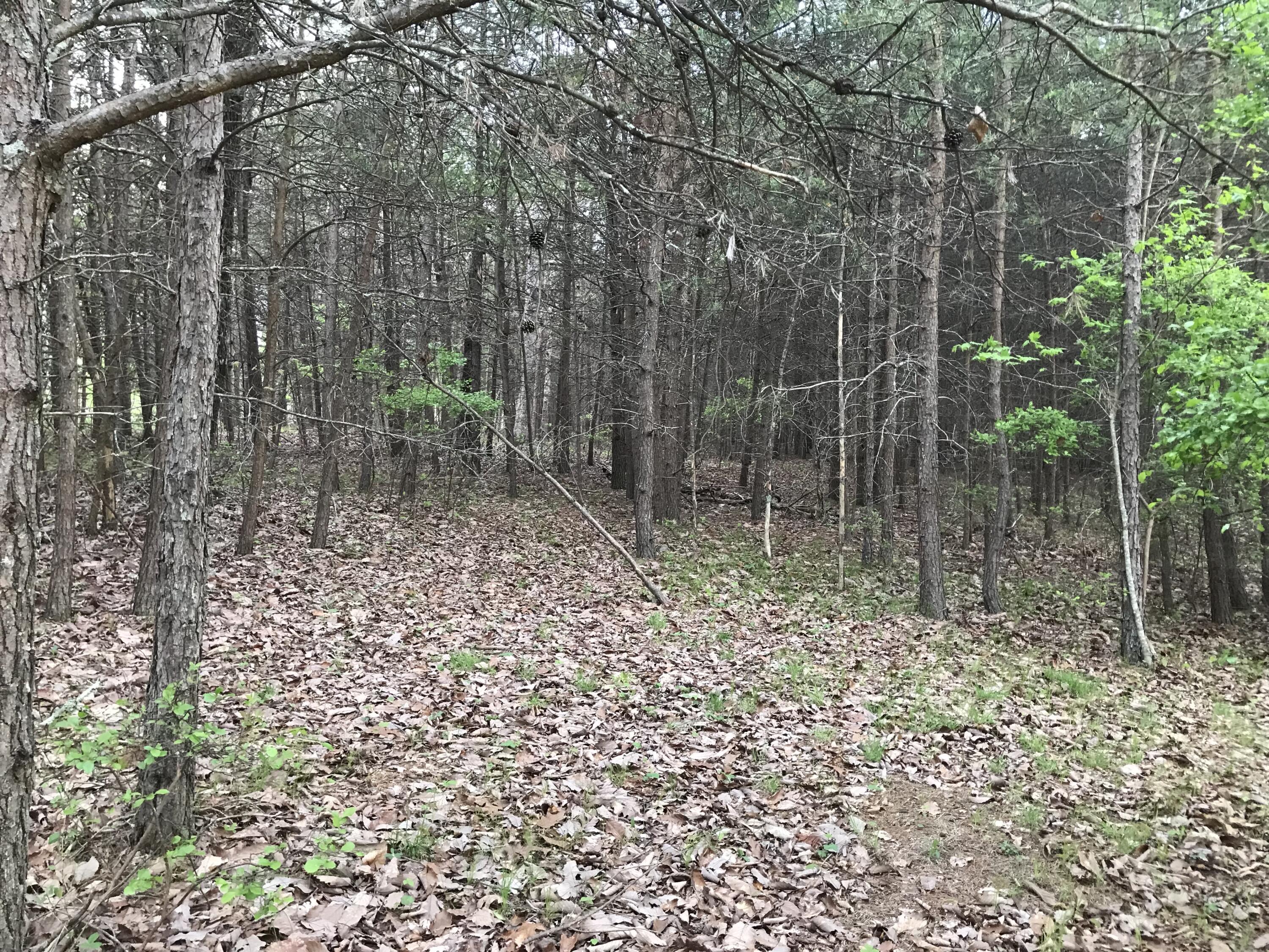 Lot 22 Greenfields Way S. #22, Dunlap, Tennessee image 7