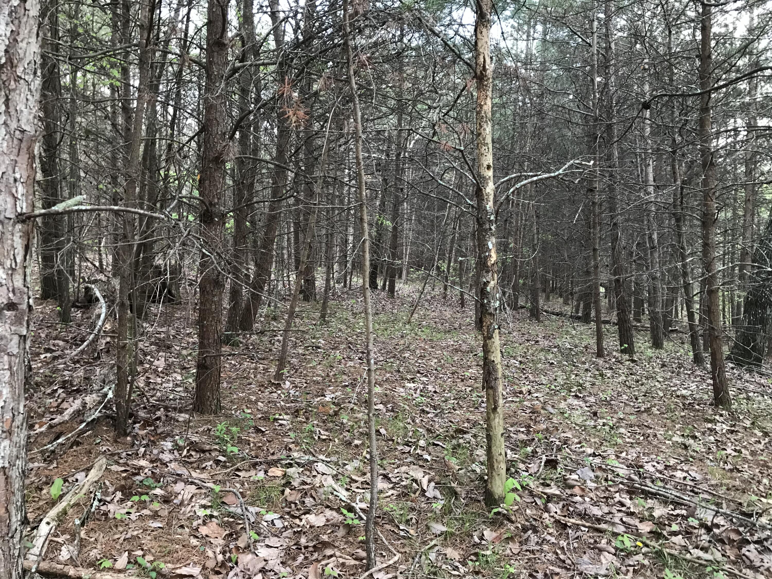 Lot 22 Greenfields Way S. #22, Dunlap, Tennessee image 8