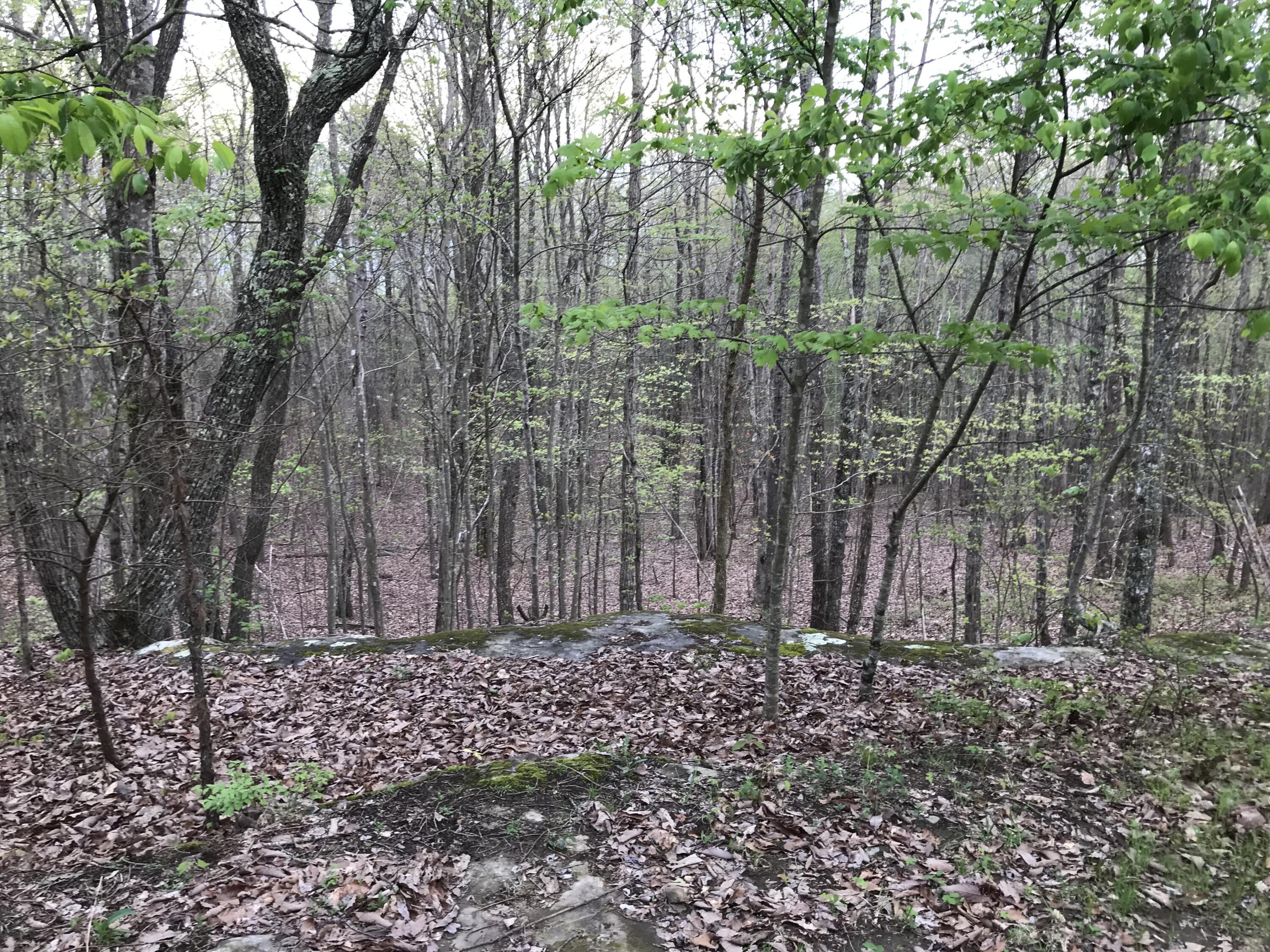 Lot 22 Greenfields Way S. #22, Dunlap, Tennessee image 11