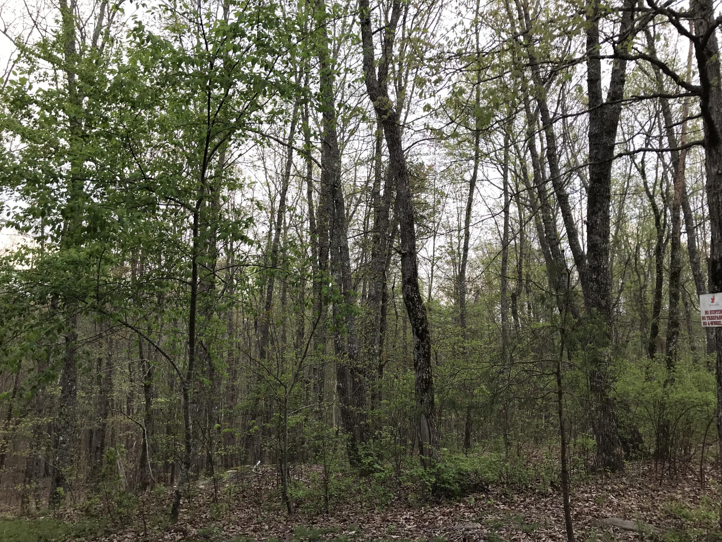 Lot 22 Greenfields Way S. #22, Dunlap, Tennessee image 13