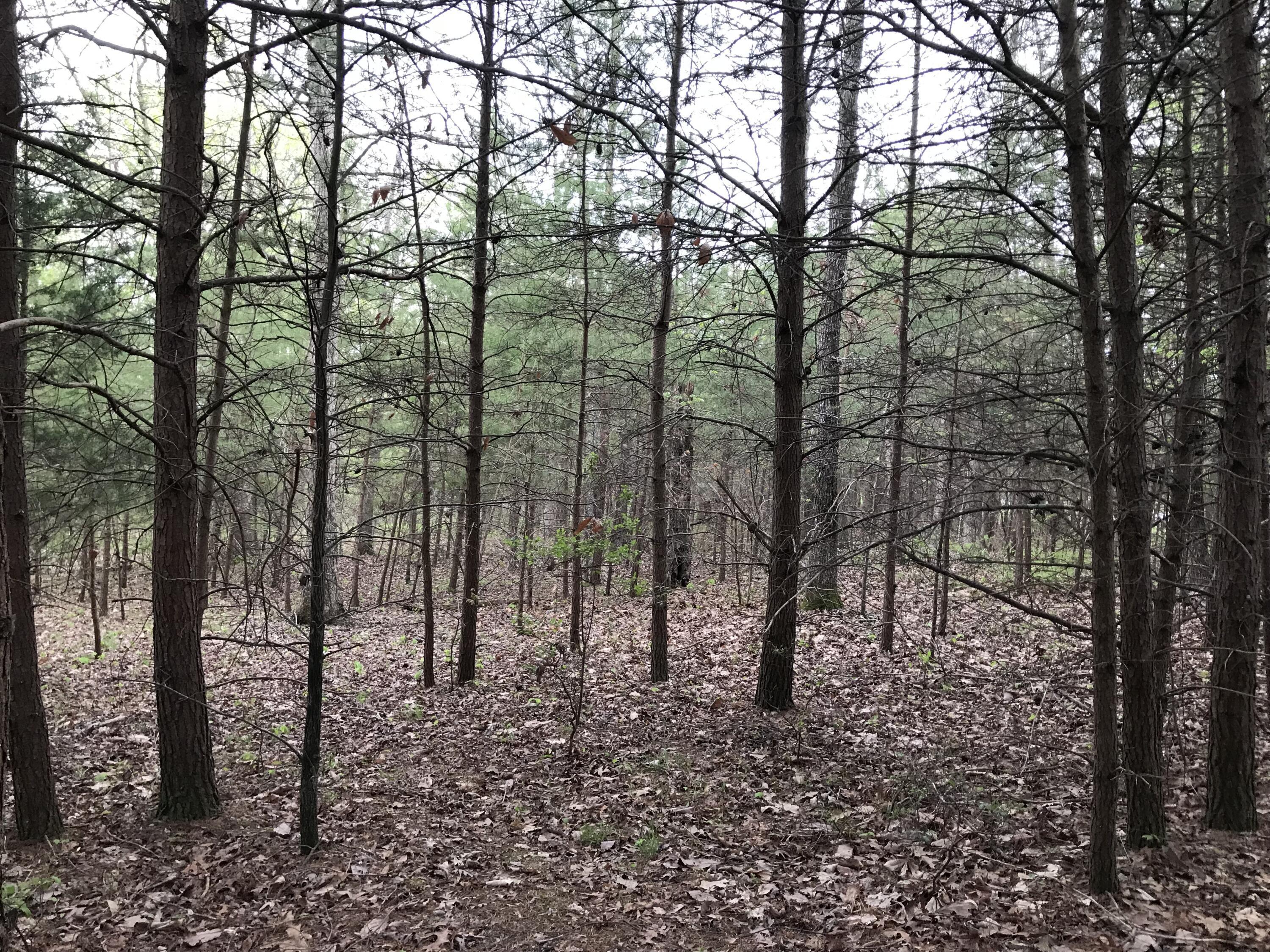 Lot 22 Greenfields Way S. #22, Dunlap, Tennessee image 6