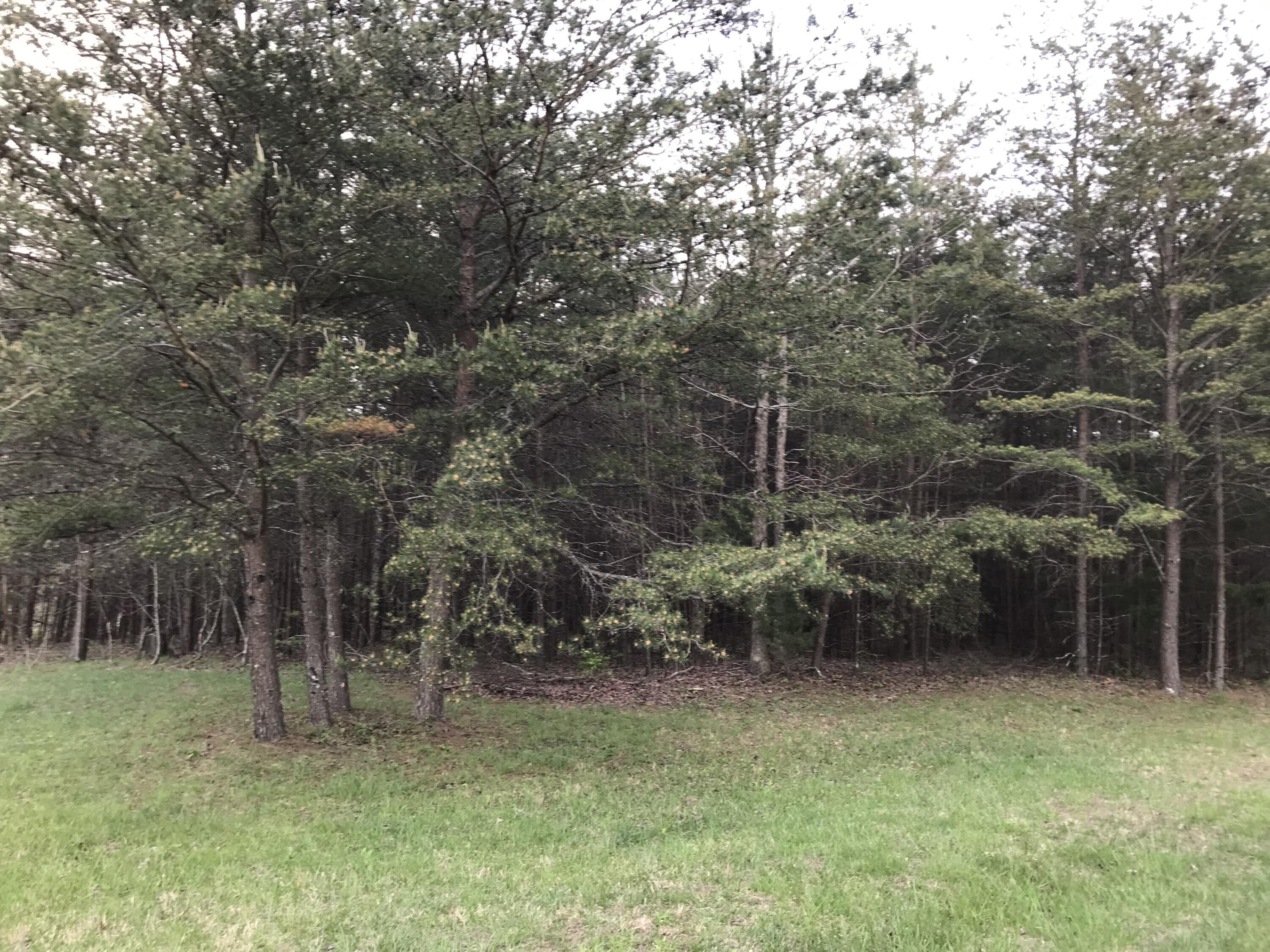 Lot 22 Greenfields Way S. #22, Dunlap, Tennessee image 20