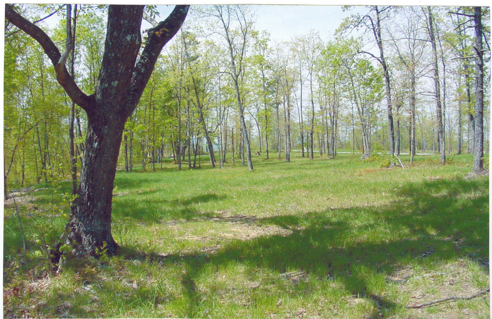 Lot 22 Greenfields Way S. #22, Dunlap, Tennessee image 1