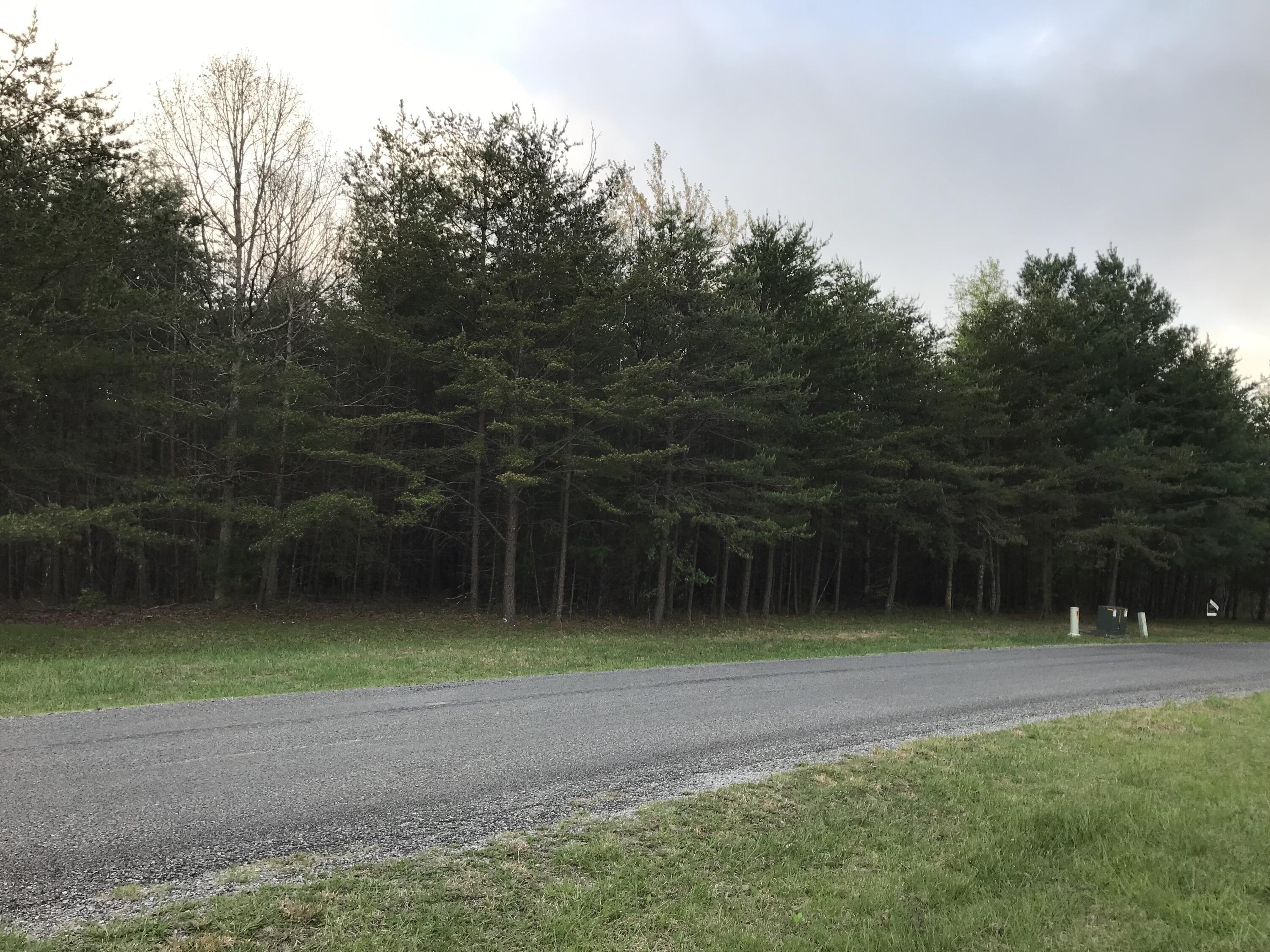 Lot 22 Greenfields Way S. #22, Dunlap, Tennessee image 19