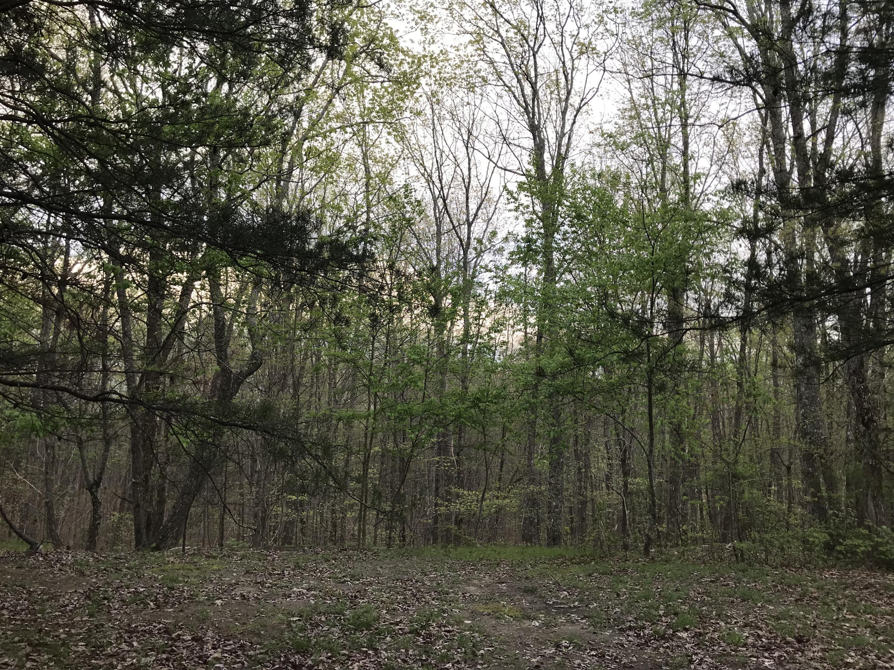 Lot 22 Greenfields Way S. #22, Dunlap, Tennessee image 14