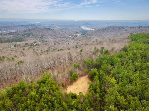 Tiny photo for 589 Abiding Way Way, Sale Creek, TN 37373 (MLS # 1528537)