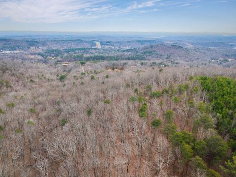 Tiny photo for 589 Abiding Way Way, Sale Creek, TN 37373 (MLS # 1528537)