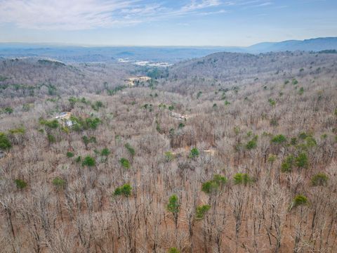 Photo of 589 Abiding Way Way, Sale Creek, TN 37373 (MLS # 1528537)