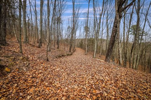 Tiny photo for 589 Abiding Way Way, Sale Creek, TN 37373 (MLS # 1528537)