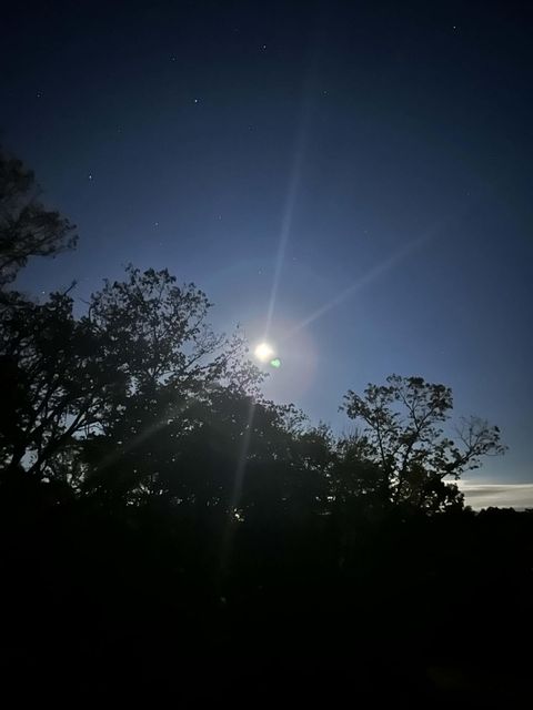 Tiny photo for 589 Abiding Way Way, Sale Creek, TN 37373 (MLS # 1528537)