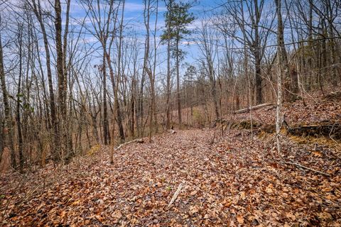 Tiny photo for 589 Abiding Way Way, Sale Creek, TN 37373 (MLS # 1528537)