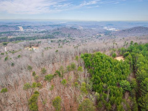Tiny photo for 589 Abiding Way Way, Sale Creek, TN 37373 (MLS # 1528537)