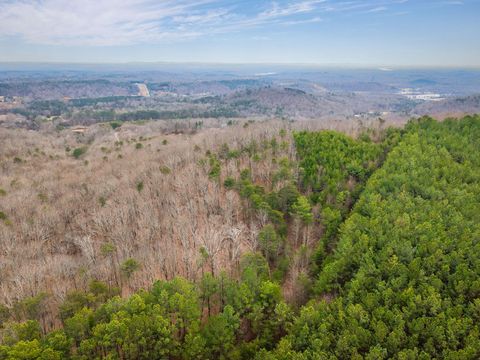 Tiny photo for 589 Abiding Way Way, Sale Creek, TN 37373 (MLS # 1528537)