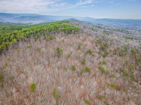 Tiny photo for 589 Abiding Way Way, Sale Creek, TN 37373 (MLS # 1528537)