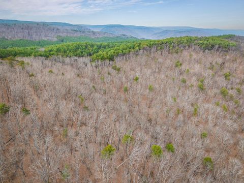 Tiny photo for 589 Abiding Way Way, Sale Creek, TN 37373 (MLS # 1528537)