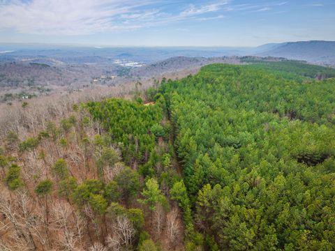 Tiny photo for 589 Abiding Way Way, Sale Creek, TN 37373 (MLS # 1528537)