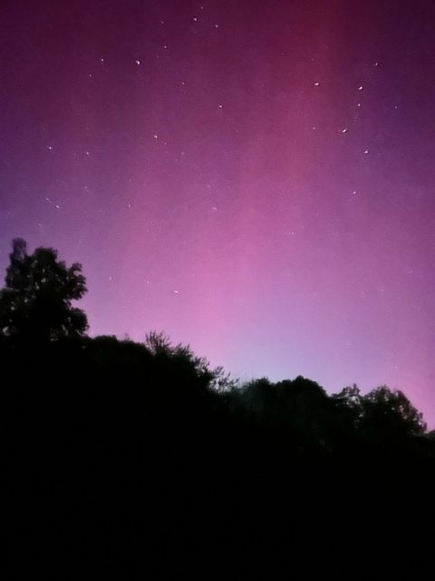 Tiny photo for 589 Abiding Way Way, Sale Creek, TN 37373 (MLS # 1528537)