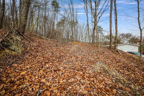 Tiny photo for 589 Abiding Way Way, Sale Creek, TN 37373 (MLS # 1528537)