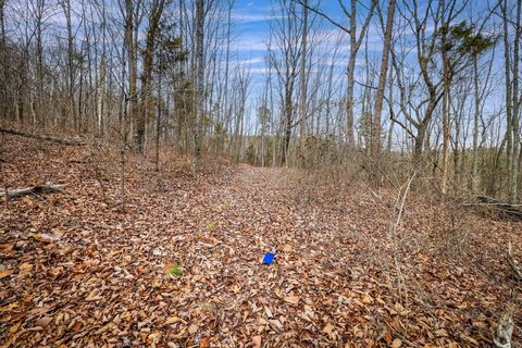 Tiny photo for 589 Abiding Way Way, Sale Creek, TN 37373 (MLS # 1528537)