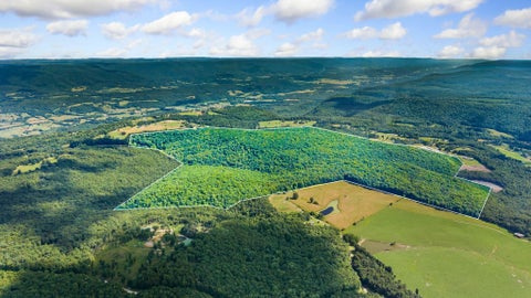 Vacant Land For Sale - 298 Fieldstone Lane<br/> Pikeville, TN 37367