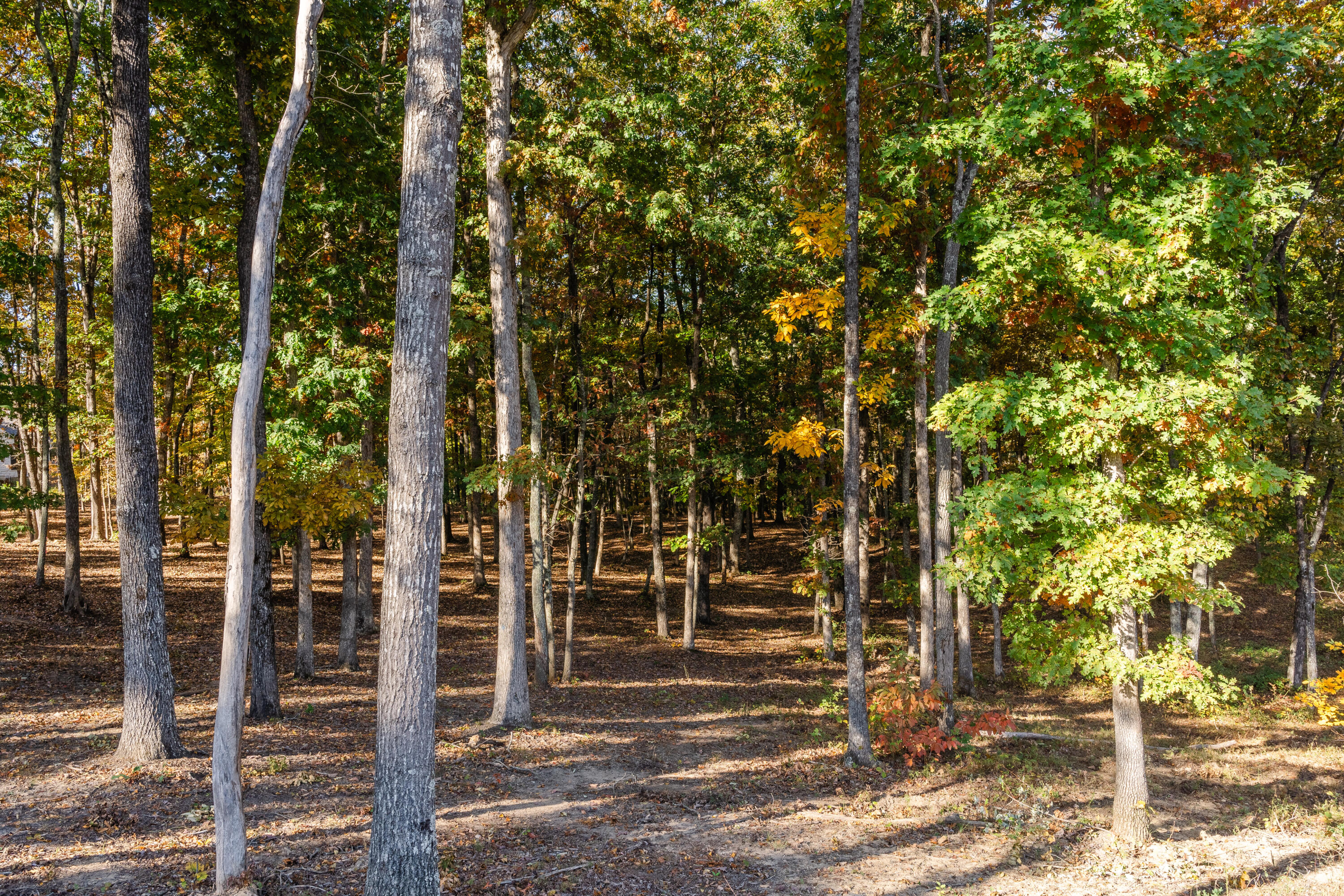 3332 Galena Circle #LOT 842, Chattanooga, Tennessee image 4
