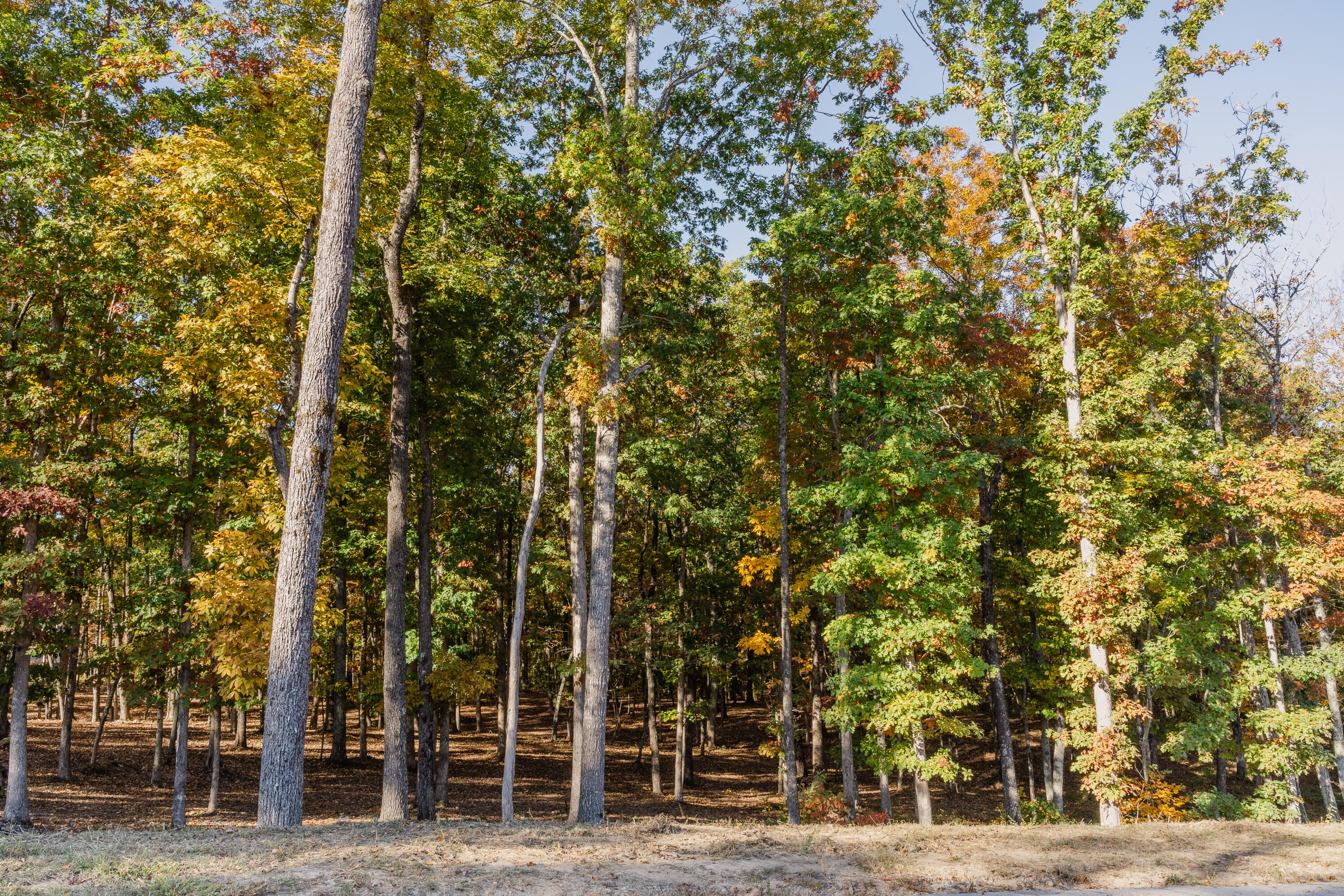 3332 Galena Circle #LOT 842, Chattanooga, Tennessee image 1