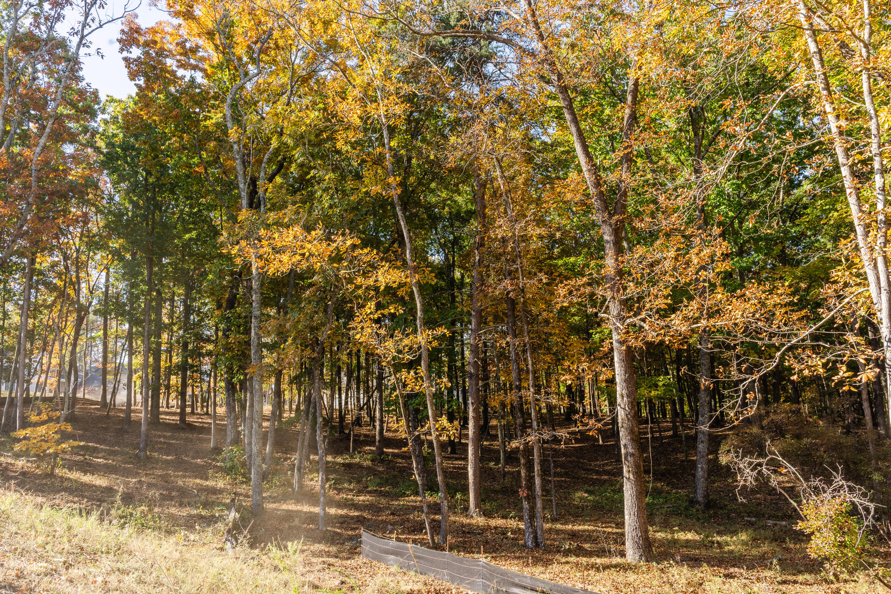 3332 Galena Circle #LOT 842, Chattanooga, Tennessee image 5