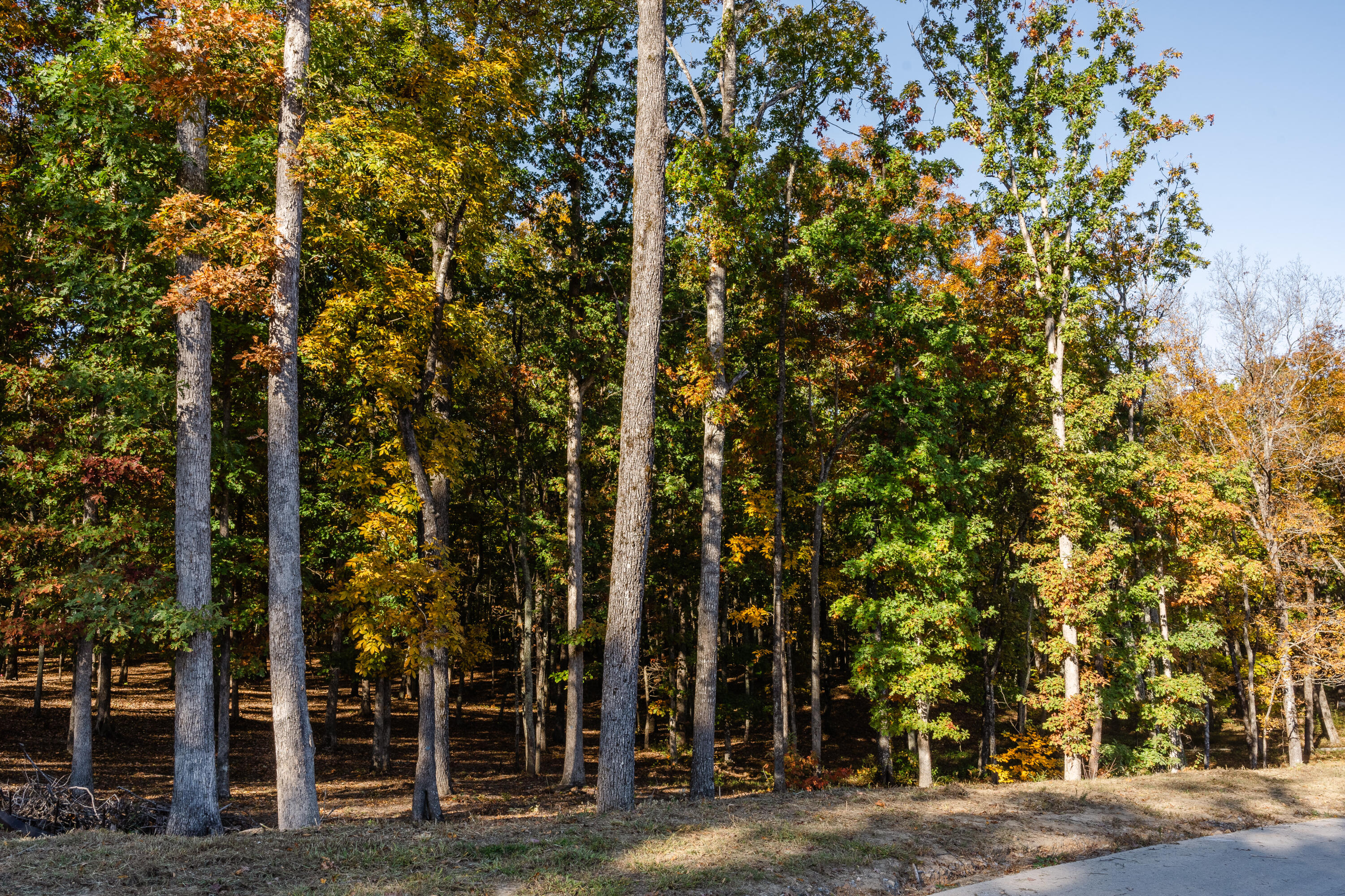 3332 Galena Circle #LOT 842, Chattanooga, Tennessee image 3