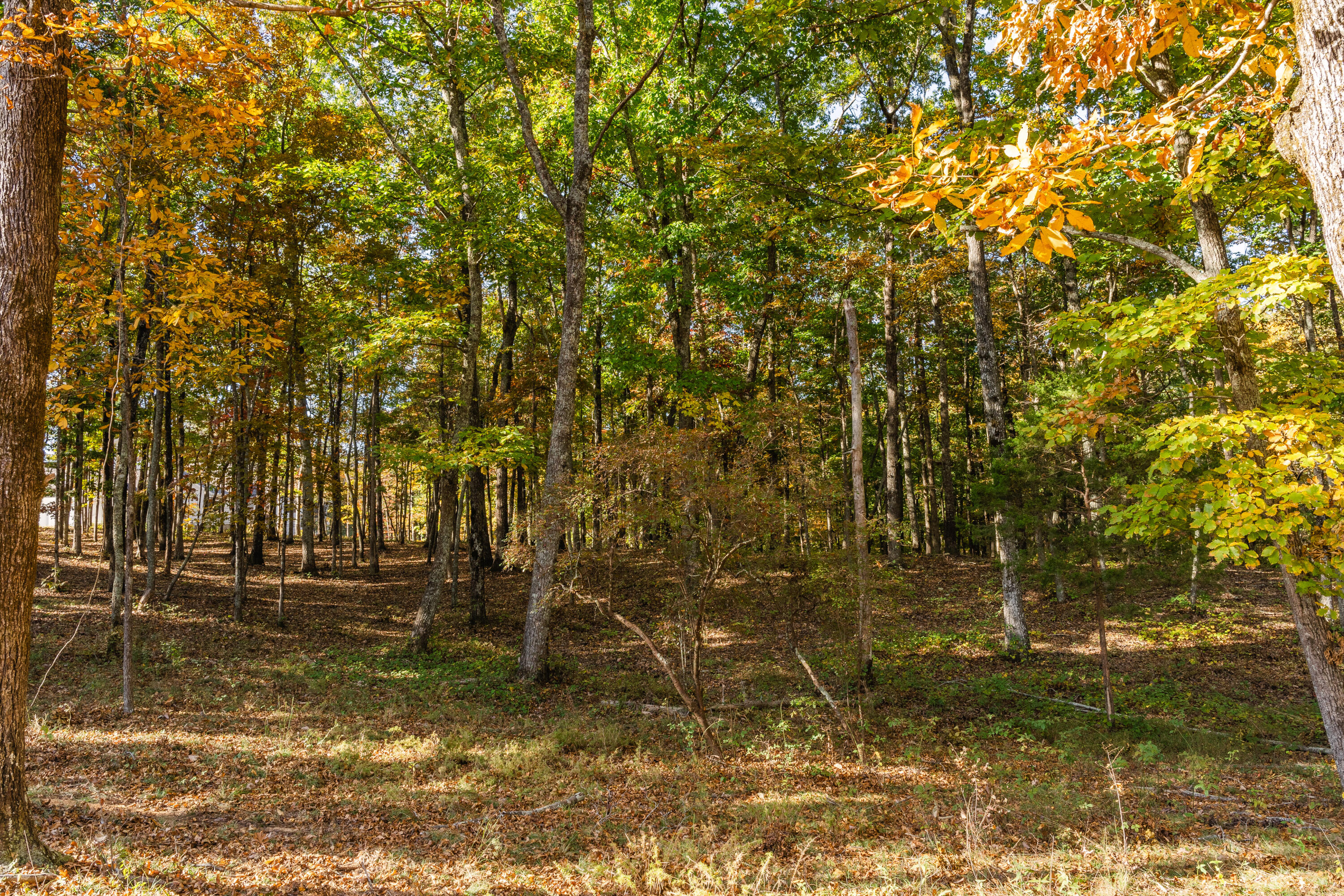 3332 Galena Circle #LOT 842, Chattanooga, Tennessee image 8