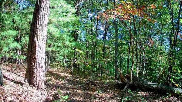 000 HIGHWAY 282, CHATSWORTH, GA 30705 - Image e933d954b5a982f7c9900b079600a086/3207428414