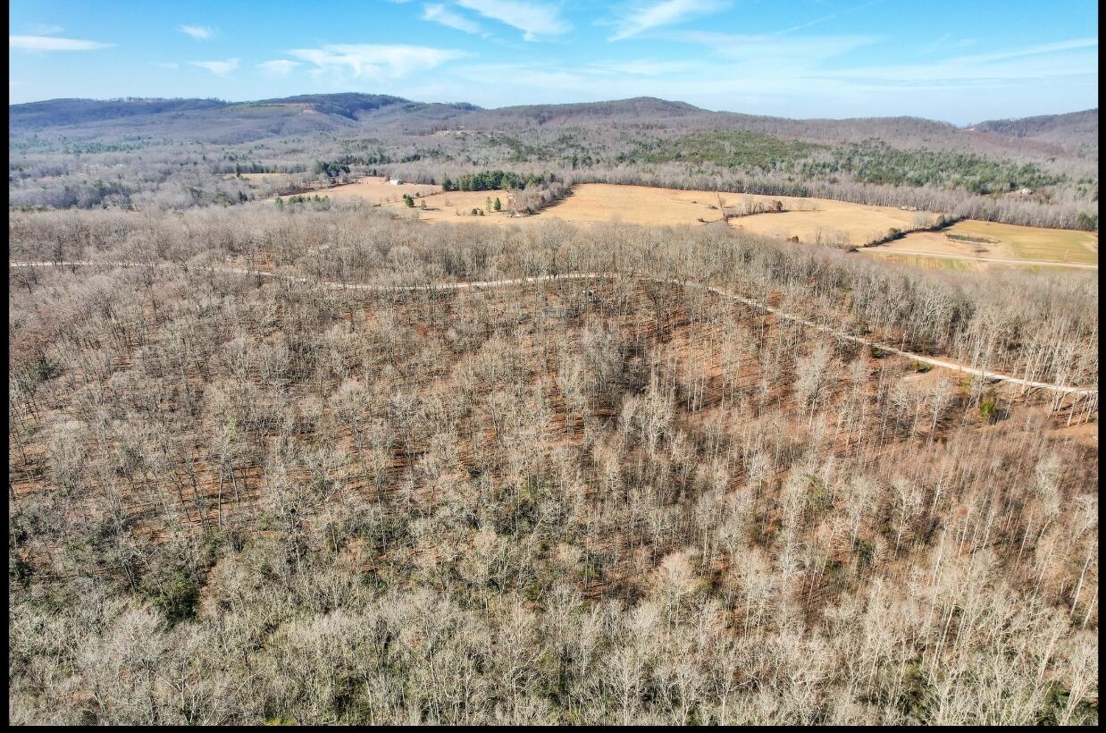 815 Chestnut Ridge Road, Spring City, Tennessee image 1