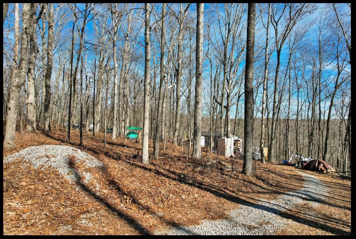 815 Chestnut Ridge Road, Spring City, Tennessee image 8