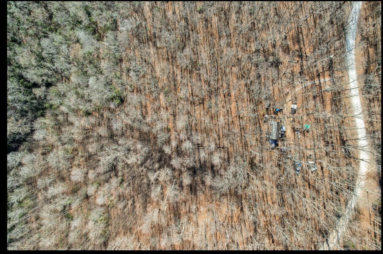815 Chestnut Ridge Road, Spring City, Tennessee image 2