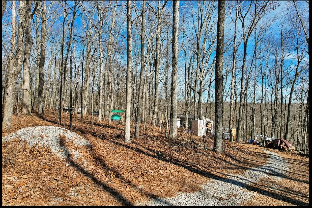 815 Chestnut Ridge Road, Spring City, Tennessee image 9