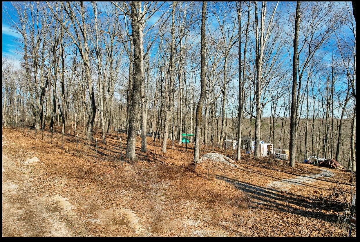815 Chestnut Ridge Road, Spring City, Tennessee image 6